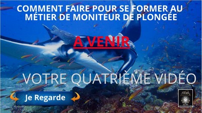 Devenir moniteur de plongée comment faire pour se former au métier de moniteur de plongée